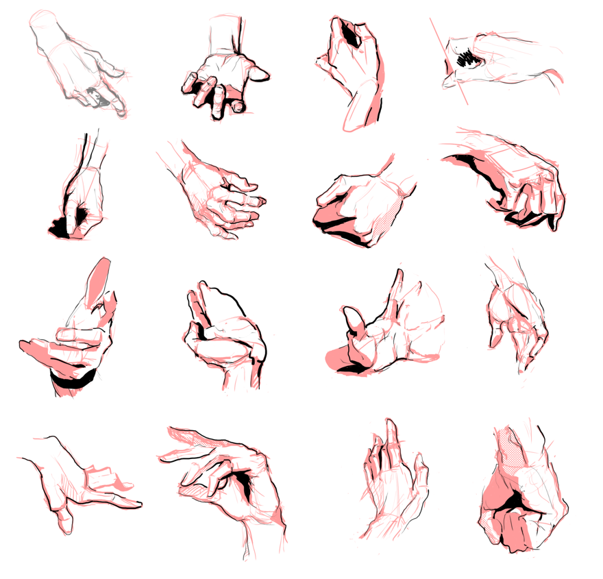 Hand study